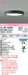 �I�[�f���b�N�@OL291432BR�@LED�V�[�����O���C�g ��