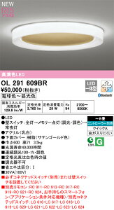 �I�[�f���b�N�@OL291609BR�@LED�V�[�����O���C�g ��