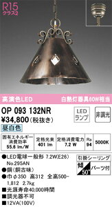 I[fbN@OP093132NR@vʍ 