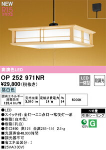 �I�[�f���b�N�@OP252971NR�@LED�y���_���g ��