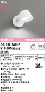 �I�[�f���b�N�@OB255385NR�@�����v�ʍ��� ��