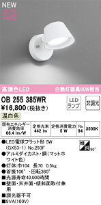 �I�[�f���b�N�@OB255385WR�@�����v�ʍ��� ��