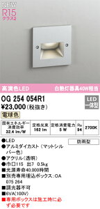 I[fbN@OG254054R1@LEDtbgCg 