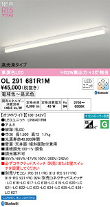 �I�[�f���b�N�@OL291681R1M�@�x�[�X���C�g LED�������j�b�g�t(�ʍ���) ��