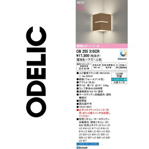 I[fbN@OB255310CR@vʍ@