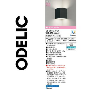 I[fbN@OB255379CR@vʍ@