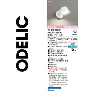 �I�[�f���b�N�@OB255385CR�@�����v�ʍ���@��