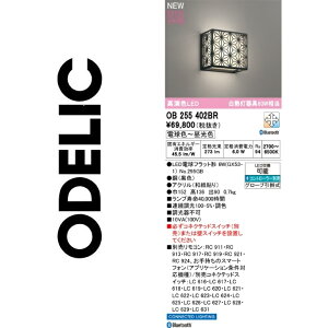 I[fbN@OB255402BR@vʍ@