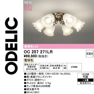 �I�[�f���b�N�@OC257271LR�@�����v�ʍ���@��