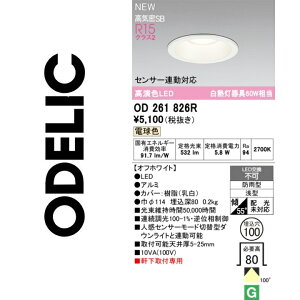 �I�[�f���b�N�@OD261826R�@LED�_�E�����C�g�@��
