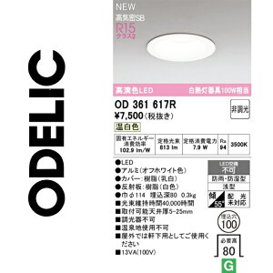 �I�[�f���b�N�@OD361617R�@LED�_�E�����C�g�@��