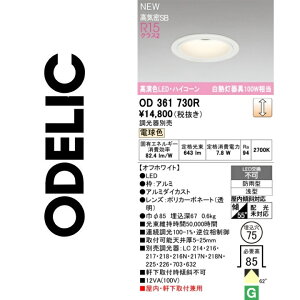 �I�[�f���b�N�@OD361730R�@LED�_�E�����C�g�@��