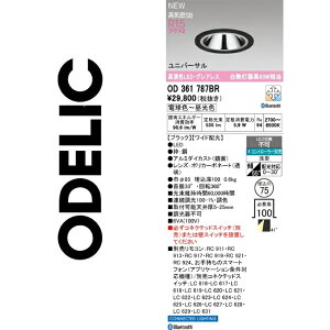 �I�[�f���b�N�@OD361787BR�@LED�_�E�����C�g�@��