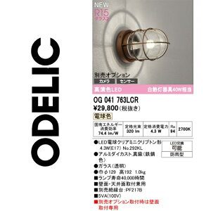 I[fbN@OG041763LCR@vʍ@