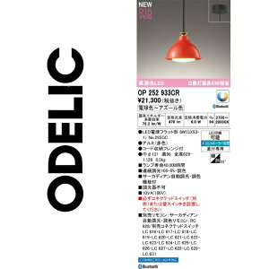 I[fbN@OP252933CR@vʍ@