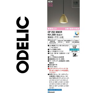 I[fbN@OP252959CR@vʍ@