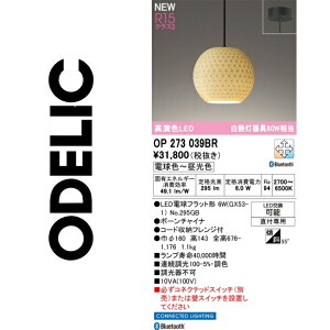 I[fbN@OP273039BR@vʍ@