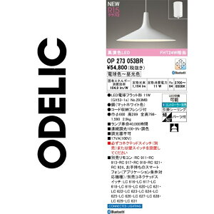 I[fbN@OP273053BR@vʍ@