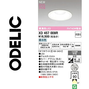 �I�[�f���b�N�@XD457009R�@LED�_�E�����C�g�@��