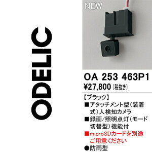 �I�[�f���b�N�@OA253463P1�@�A�^�b�`�����g�^�J�����@��