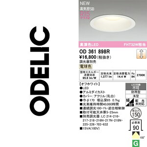 �I�[�f���b�N�@OD361898R�@LED�_�E�����C�g�yXD457079 �̑�֕i�z�@��