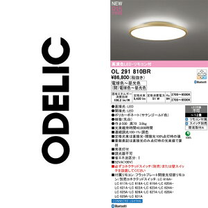 �I�[�f���b�N�@OL291810BR�@LED�V�[�����O�@��