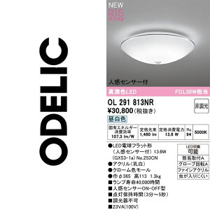 �I�[�f���b�N�@OL291813NR�@�����v�ʍ���@��