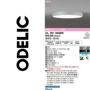 �I�[�f���b�N�@OL291848BR�@LED�V�[�����O�yOL291687BR �̑�֕i�z�@��