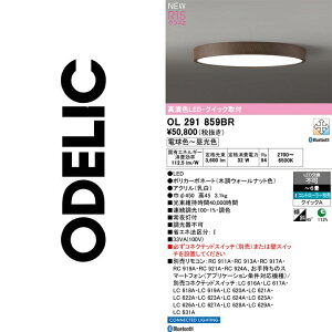 �I�[�f���b�N�@OL291859BR�@LED�V�[�����O�yOL291430BR �̑�֕i�z�@��
