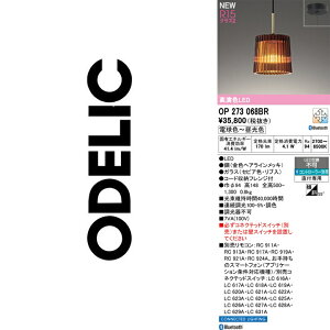 �I�[�f���b�N�@OP273068BR�@LED�y���_���g�@��