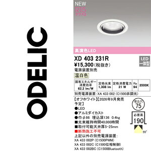 �I�[�f���b�N�@XD403231R�@LED�_�E�����C�g�yXD403231 �̑�֕i�z�@��