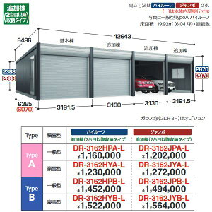 Ciou@DR-3162HPB-L@fUCi[YK[W Ԍ q AVA TypeB nC[t ǉ y{ŵݎzz yʌ^zy͂ ֓z ˁ