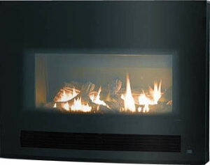 �����i�C�@RHFE-750ETR 50Hz �v���p���K�X�p�@�g�F�@��[G]