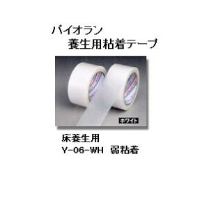 _CebNX@pCI@NX@{e[v@Y-06-WH@50mm×25m@zCg@P[Xi30j@@{e[v@NXe[v@pCIe[v