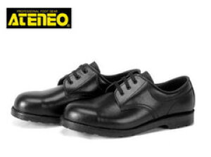 SC fB[XΉTCY ؎Y A1 SC