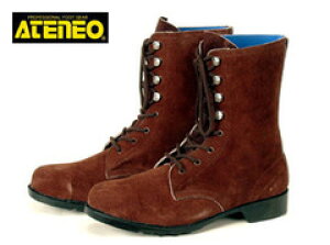 SC fB[XΉTCY ؎Y 1703 u[c C ҂ݏグ