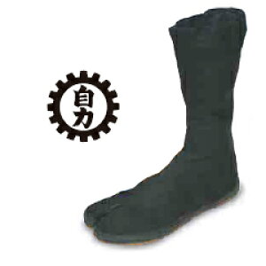 yX[p[SALEz n   12͂ \t cȂ Y / iS n 12n