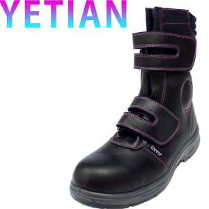 SC CGe SC YT505 }WbNe[v y  [NV[Y Z[teB[V[Y Z[teBV[Y ƌC Y