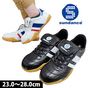 SC sundance T_X GT-3 fB[XTCYL y ƌC Z[teB[V[Y  SXj[J[