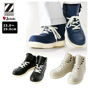 SC nCJbg  y fB[X Y c ϖ 3E JSAA B  R /d SC Z-DRAGON S1153