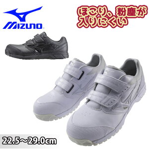 SC ~Ym }WbNe[v  Xj[J[    Z[teB[V[Y Y fB[X 傫TCY y y ϊ JSAA A c ˍ / C1GA1711 veNeB