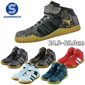 SC nCJbg  }WbNe[v JSAA A퍇i ϖ  Obv NbV Ȑ    / sundance T_X GT-EvoX