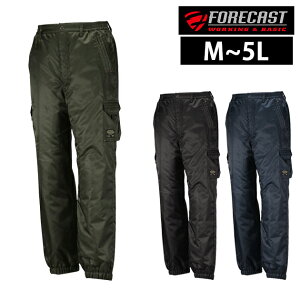 ƕ ƒ h hY{ [NEFA    Y ƃY{  g pc ΍  / JWCN H~ƕ FORECAST Next\W[p