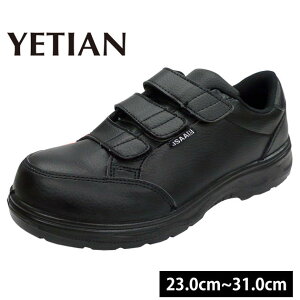 CGe SC yʒZC}WbN YT500