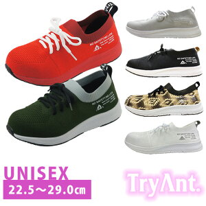 SC ƌC   Xj[J[ Y fB[X  y ʋC 23.5cm 26cm 29cm jp [Jbg   R Sc ubN O[  jbg / TryAnt gCAg A