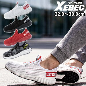 SC ƌC   Y fB[X Xj[J[ y ɂ bV ʋC [Jbg c ubN bh zCg  Ƃ߂ / XEBEC W[xbN S