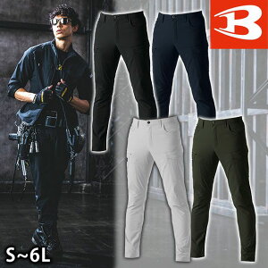 4L`6L BURTLE o[g ʔNƕ ƒ J[SpcijZbNXj 9502