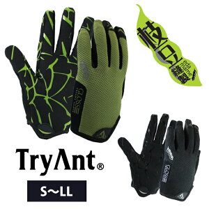 S`LL TryAnt gCAg  }JjbNO[u Xb|^Cv 719