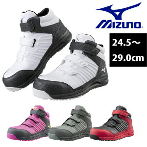 ~Ym SC I[}CeBSSII21H F1GA2205