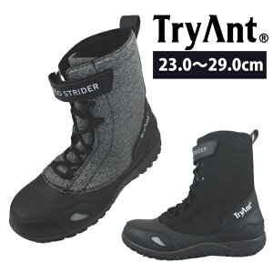 SC nCJbg C u[c 5cmh  Y fB[X Ȑ ϖ  / SC TryAnt gCAg NEO STRIDER lIXgC_[ h Z[teBV[Y N-31